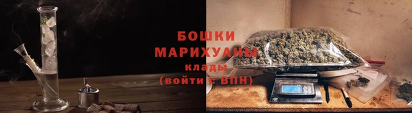 прущая мука Вяземский