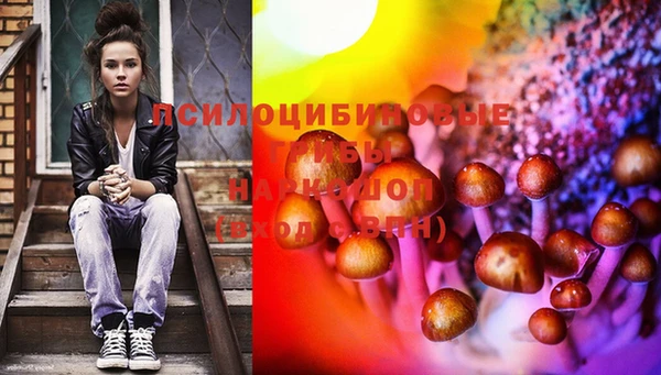 спайс Яровое