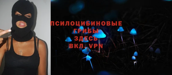 спайс Яровое